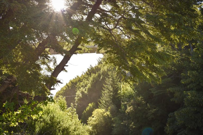 The Eco-Friendly Explorer: Sustainable Practices for Outdoor Travel